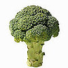 Raw Broccoli