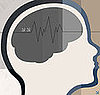 Which Is Your Favorite Brain Food?
