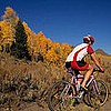 Mountain Biking