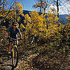 Which Autumn Activity Is Your Favorite?