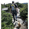 Hiking