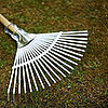 Raking Leaves