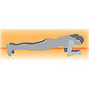 Plank