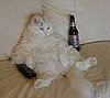 A Cautionary Tail