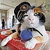 Meet the Railway Super-Stationmaster