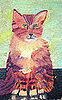 Why Is This Kitty Angry?
