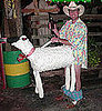 Horny Hillbilly and Sheep