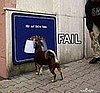 No Chow For You!