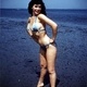 mountainbeach's picture