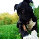 baltimoregal's picture