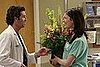 Grey's Anatomy, April 24