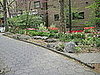 This is in the Golden Swan Garden on West 4th Street