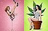 No. 2: Weeds and Secret Diary of a Call Girl