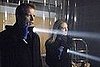 fringe_annamark_fl9