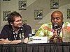 IMG_1141.JPG
