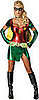 Robin Sexy Costume
