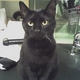 flippy's picture