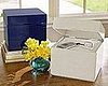 Bento Box Charging Station
