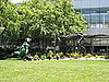 Art Adorns the Campus