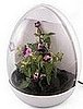 USB Greenhouse