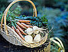 Local, Organic and Sustainable