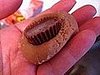 Adding the peanut butter cup.