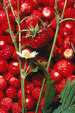 Spring Strawberry Pie