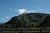 Later in the afternoon, we saw this same pasture filled with elk.