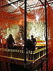 Olive Oil Taste Pavilion