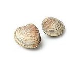 Expert Clam Linguine