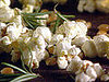 Popcorn With Rosemary Infused Oil
