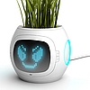 Finally, My Plants Can Tell Me What They Need Before I Kill Them