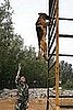 Going Up! 