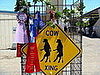Cow Crossing