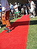 The Red Carpet