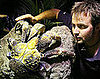 Coconut Crab 