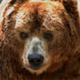 wintermute's picture