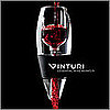 Vinituri Wine Aerator