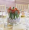 Bulbs Instead of Fresh Cut