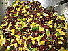 Let the corn and black bean salad rest.
