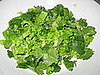 Tossed lettuce and cilantro.
