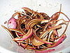 Pickling the onions. 
