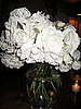 Flowers. 