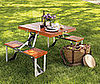 Portable Picnic Table