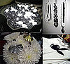 The Black and White Decor