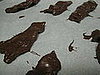 Let the chocolate harden and cool.