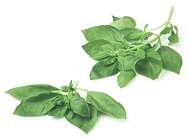Thai Chicken with Basil 