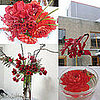The Flowers