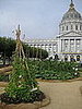 Wild flowers were planted to attract bugs that pollinate the vegetables. 