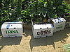 The harvested vegetables are taken to the San Francisco Food Bank. From there the produce is distributed to churches, schools, f